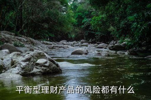 理才客戶風(fēng)險(xiǎn)平衡型是什么意思，平安銀行評(píng)估平衡型是什么意思