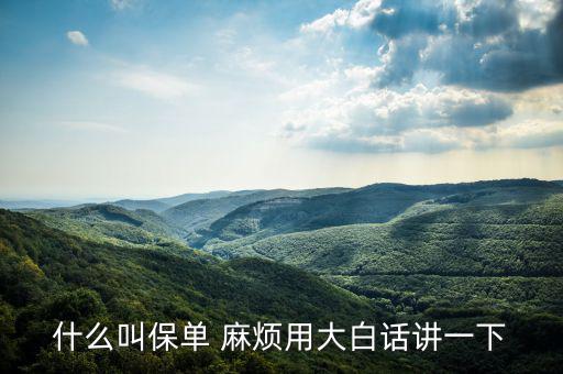 什么是保單，什么是保單