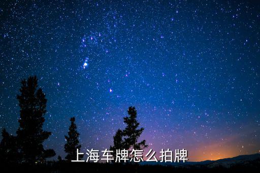 有警示價(jià)怎么拍賣牌照,上海公車名額有限競(jìng)拍采用無底價(jià)方式