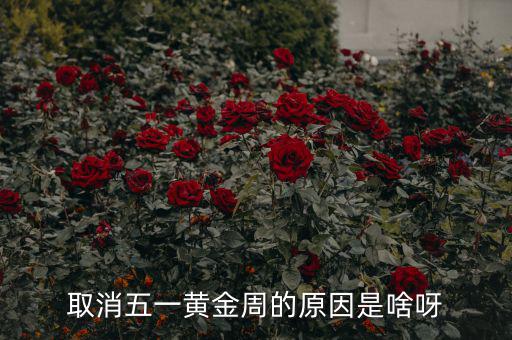五一黃金周為什么取消，為什么取消五一黃金周