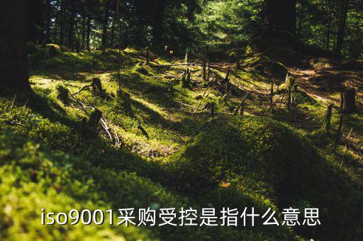 采購流程的雙控體系是什么意思，iso9001采購受控是指什么意思