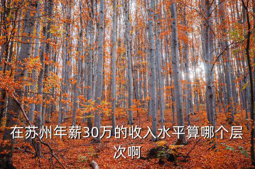 年薪三十萬(wàn)元處于什么階層，在蘇州年薪30萬(wàn)的收入水平算哪個(gè)層次啊