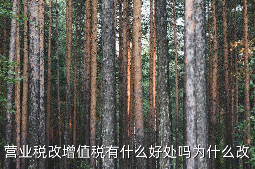 為什么營改增，營改增有什么意義和影響