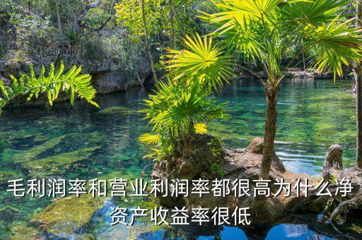 資產(chǎn)凈利率較低是為什么，為什么利潤(rùn)率高資產(chǎn)收益率卻低