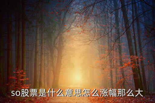 so股票是什么意思，股市上so開頭的是什么意思