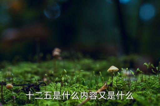 十二五干什么，十二五是什么內(nèi)容又是什么