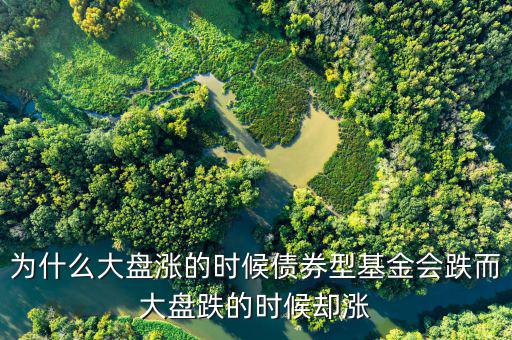 為什么大盤跌基金漲，為啥大盤漲基金反而跌基金又漲