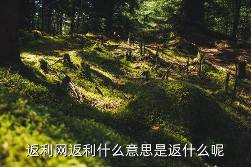 返傭網(wǎng)是什么意思，返傭網(wǎng)大概是什么意思