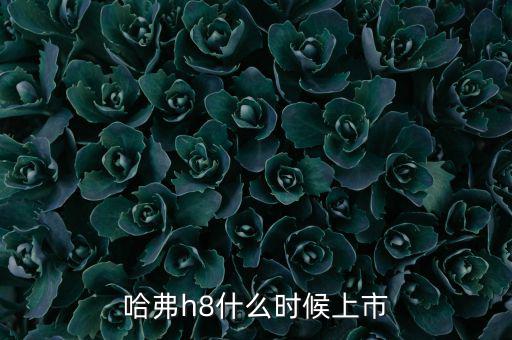 哈佛h8什么時(shí)候上市的，哈弗h8什么時(shí)候上市