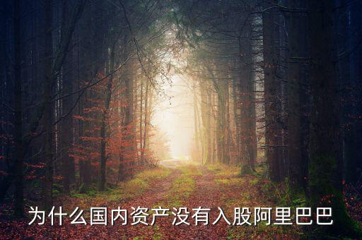 當初為什么沒投阿里巴巴，為什么國內(nèi)資產(chǎn)沒有入股阿里巴巴