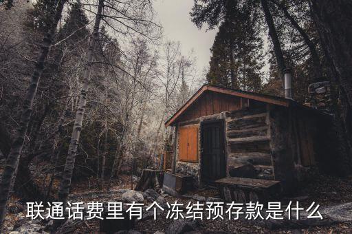 凍結(jié)預(yù)存款是什么意思，聯(lián)通話費(fèi)里有個(gè)凍結(jié)預(yù)存款是什么