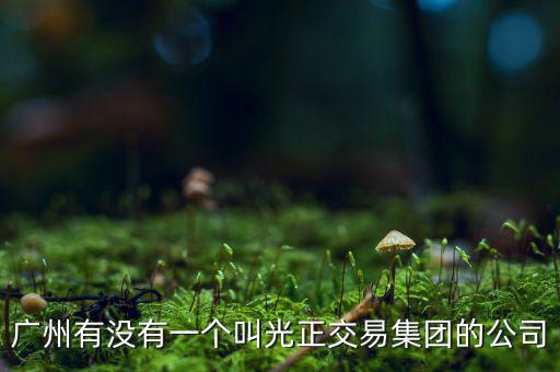 光正集團股票公司主要生產什么，光正集團股票是做什么板塊的