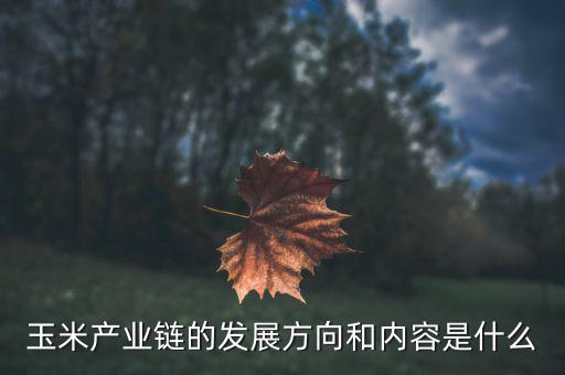 玉米的產(chǎn)業(yè)鏈?zhǔn)鞘裁?，玉米產(chǎn)業(yè)鏈的發(fā)展方向和內(nèi)容是什么
