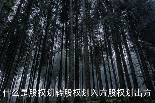 劃轉(zhuǎn)是什么意思，什么是股權(quán)劃轉(zhuǎn)股權(quán)劃入方股權(quán)劃出方