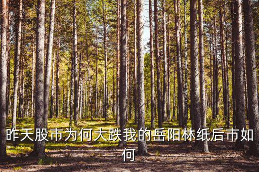 岳陽林紙為什么停牌，誰能告訴我這是怎么回事是停牌了嗎