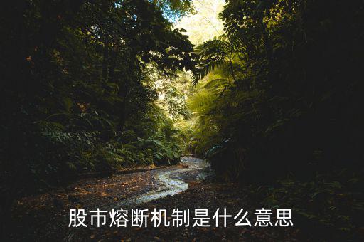 熔斷機(jī)制是什么意思，熔斷機(jī)制怎么理解啊