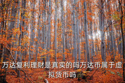 萬達(dá)貨幣是什么，萬達(dá)復(fù)利理財是真實(shí)的嗎萬達(dá)幣屬于虛擬貨幣嗎