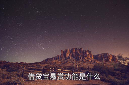 借貸寶追賞是什么意思，追賞是什么意思
