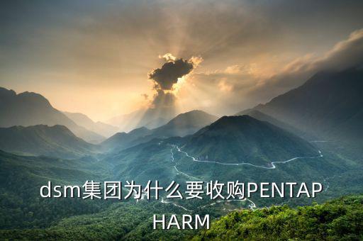 喜游國際被什么公司并購，DSM據(jù)說收購了一個特牛的公司是什么大家有知道的嗎