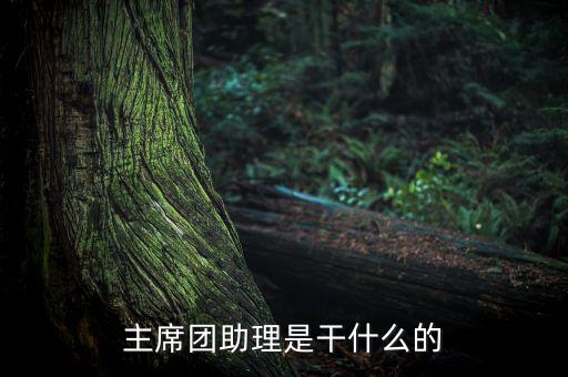 主席團(tuán)助理做什么，主席團(tuán)助理是干什么的