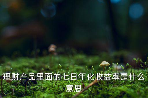 7日年化收益率是什么意思，7日年收化益率是啥意思
