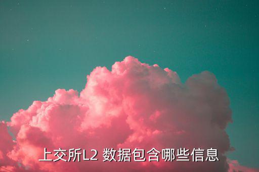 股票l2什么意思，股票標(biāo)示 融 深股通 L1是什么意思