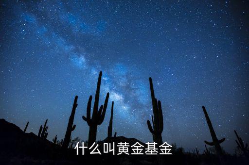 基金類型黃金型是什么意思，基金類型是黃金型所謂的黃金型是什么意思