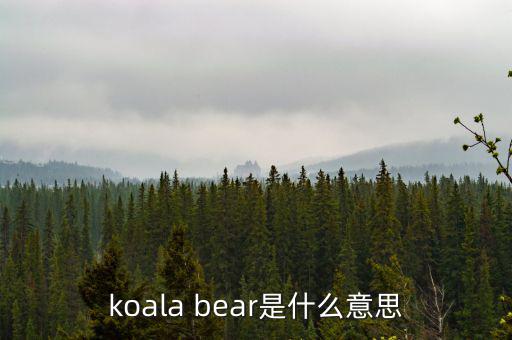 牛壓熊什么意思，tady bear是什么意思