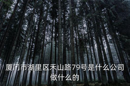 廈門(mén)市湖里區(qū)禾山路79號(hào)是什么公司做什么的
