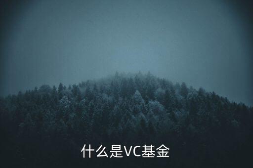 vc基金是什么，什么叫VC基金