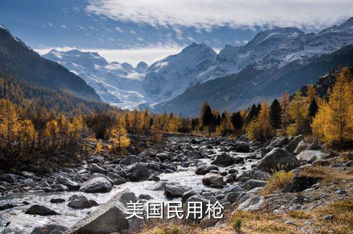 美國1994年禁什么槍，美國民用槍