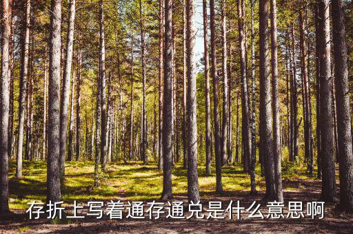 存折上寫(xiě)著通存通兌是什么意思啊