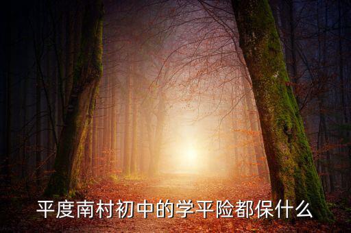 學(xué)平險保些什么，中國人壽60元的學(xué)平險保什么