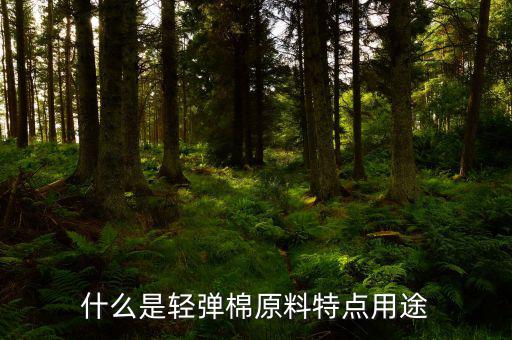 清彈棉是什么意思，彈棉花是什么意思
