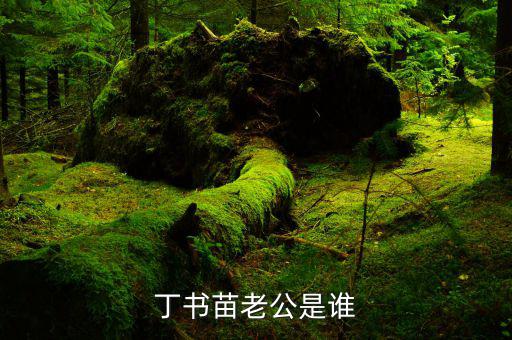 丁書苗和劉志軍什么關(guān)系，丁羽心和劉志軍認(rèn)識10年 花多少錢都不吝嗇