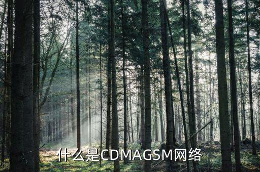 電信cdma是什么網(wǎng)絡(luò)，cdma是什么網(wǎng)絡(luò)