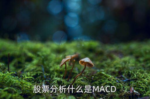 股票中macd是什么意思，股票中MACD指標(biāo)是什么意思