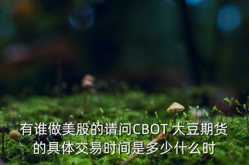 有誰做美股的請問CBOT 大豆期貨的具體交易時(shí)間是多少什么時(shí)