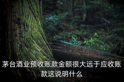 茅臺酒業(yè)預(yù)收賬款金額很大遠于應(yīng)收賬款這說明什么