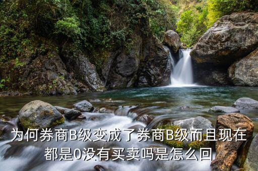 券商B級為什么賣不掉，證券b級怎么沒有交易