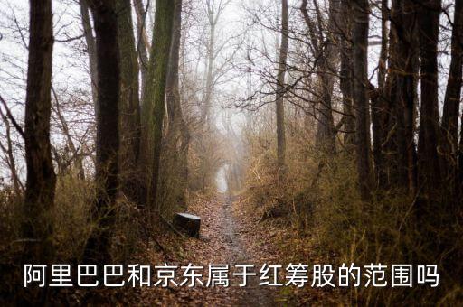紅籌股是什么意思，權(quán)重股紅籌股