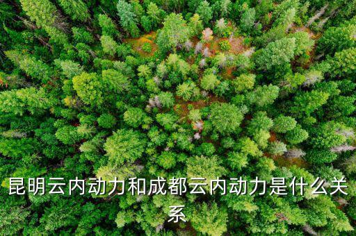 云南云內(nèi)動(dòng)力是什么性質(zhì)，什么是云內(nèi)發(fā)動(dòng)機(jī)