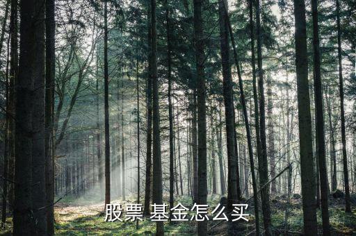 深市基金怎么買(mǎi),準(zhǔn)備好銀行卡和身份證開(kāi)戶投資股票型基金