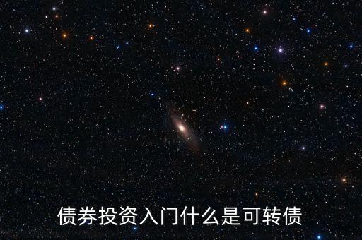 債券投資入門(mén)什么是可轉(zhuǎn)債