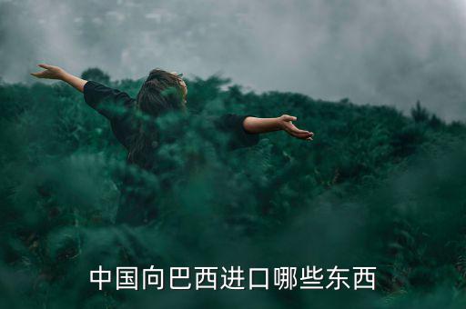 美國(guó)從巴西進(jìn)口什么，中國(guó)向巴西進(jìn)口哪些東西