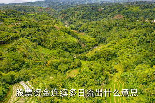 為什么一支股票連續(xù)幾月大單流出，股票資金連續(xù)多日流出什么意思