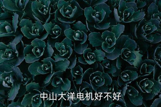 中山大洋電機(jī)屬于什么行業(yè)，中山大洋電機(jī)好不好