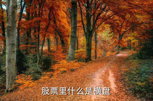 橫盤調(diào)整什么意思，股民們說的建倉橫盤是什么意思