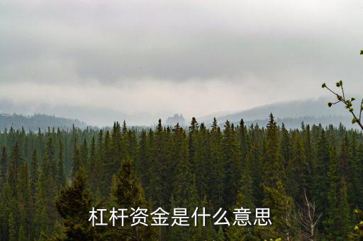 資金杠桿是什么意思，投資里面的杠桿是什么意思