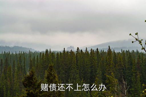 賭債高筑怎么辦,賭債不受法律保護(hù)債權(quán)人需自行提起訴訟